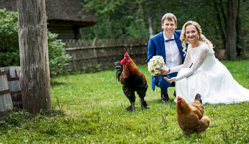 Pulmad- Fotograaf Edyth Raamat Fotograaf Edyth Raamat