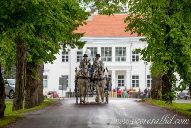 Pulmad.ee - Elu tähtsaim lehekülg. Kogu info pulmade korraldamisest! Pulmad.ee - Elu tähtsaim lehekülg. Kogu info pulmade korraldamisest!